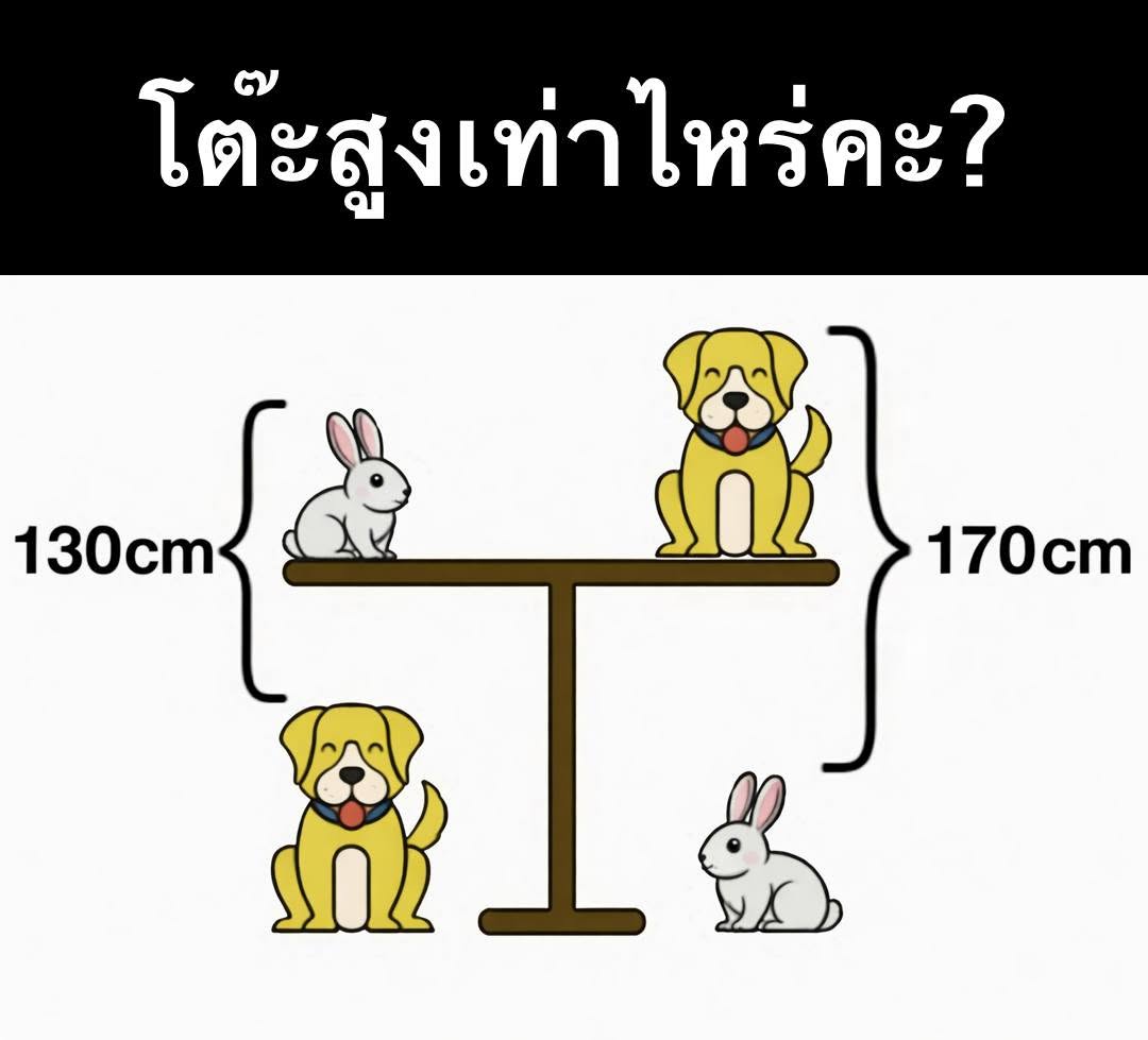 โต๊ะสูงเท่าไร?